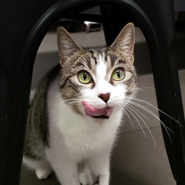 Photo of Luna Suk012823