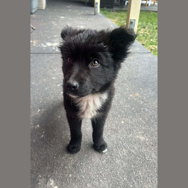 Photo of Storm