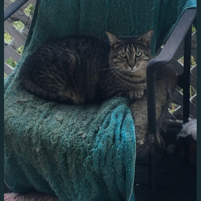 Photo of Sandy