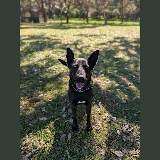 Photo of Sasha