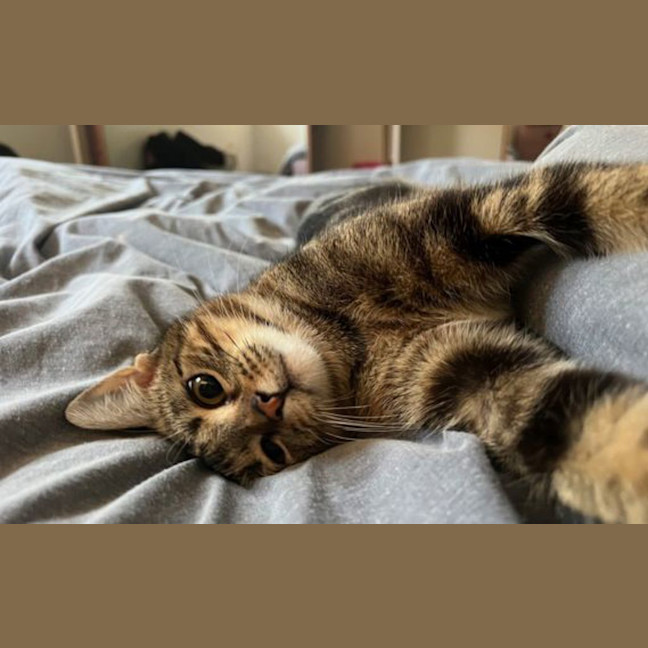 Photo of Bibi