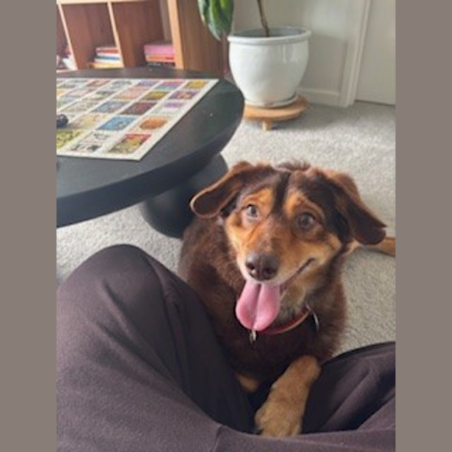 Photo of Sawyer