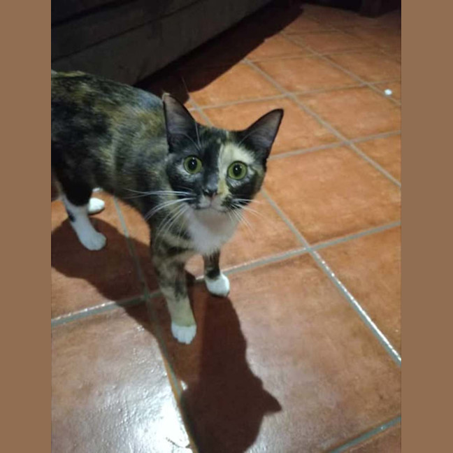 Photo of Mumma Patti 