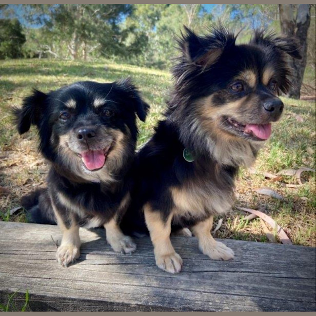 Photo of Kimchi And Kizha Newhaven