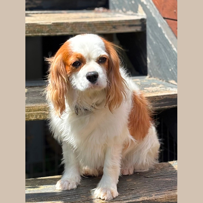 Photo of Isabelle