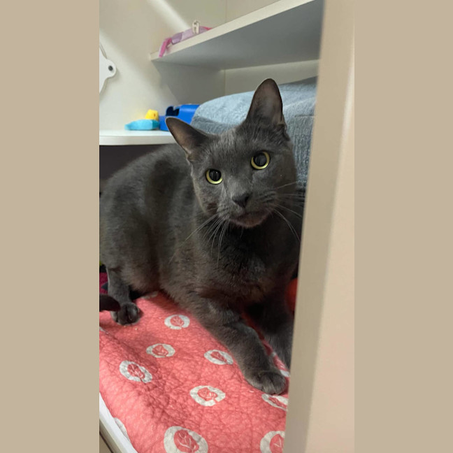 Photo of Kuro