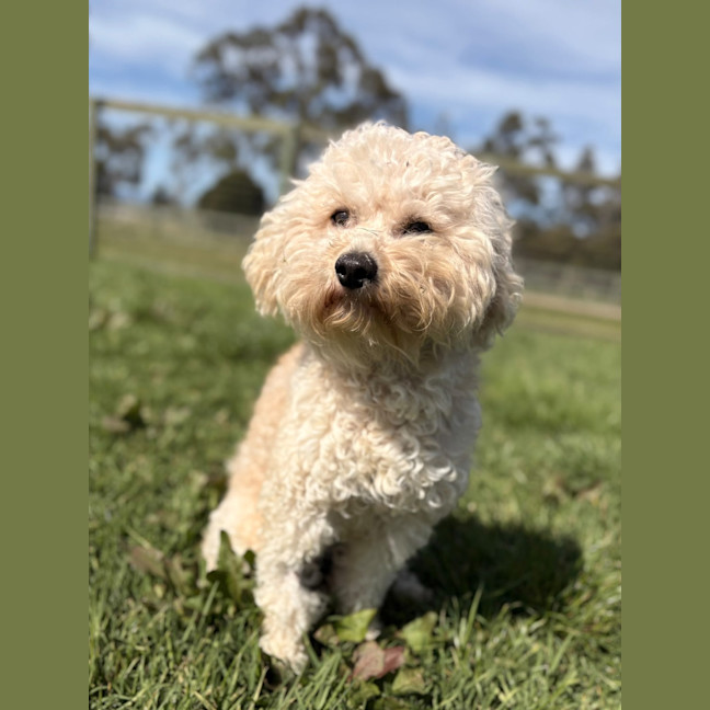 Photo of Ted