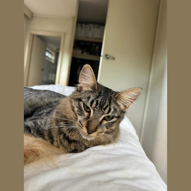Photo of Joel