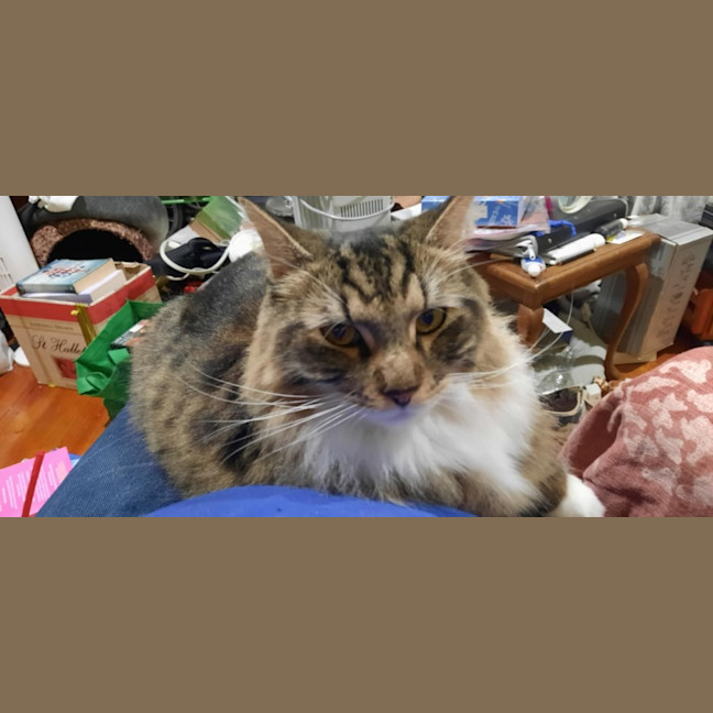 Photo of Milo & Otis