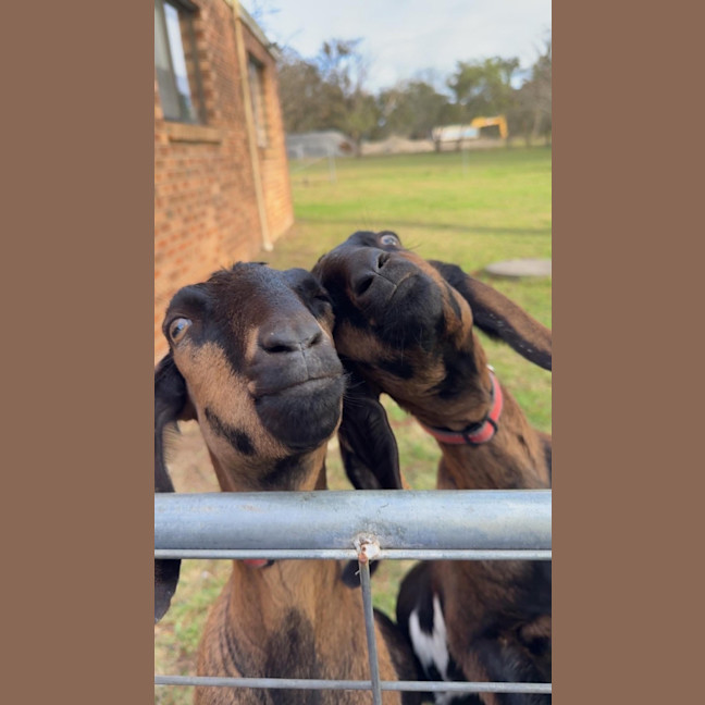 Photo of Bubblo & Bill