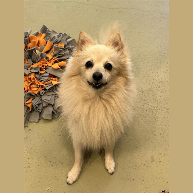 Photo of Zeus