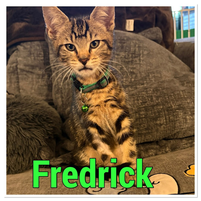 Photo of Fredrick