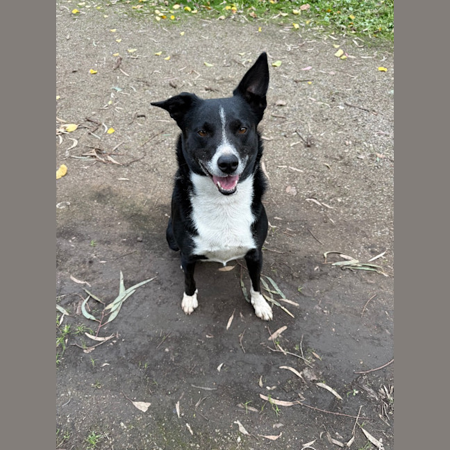 Photo of Maggie