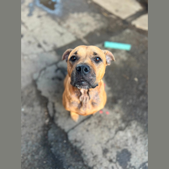 Photo of Dot