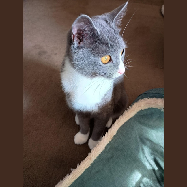 Photo of Susan