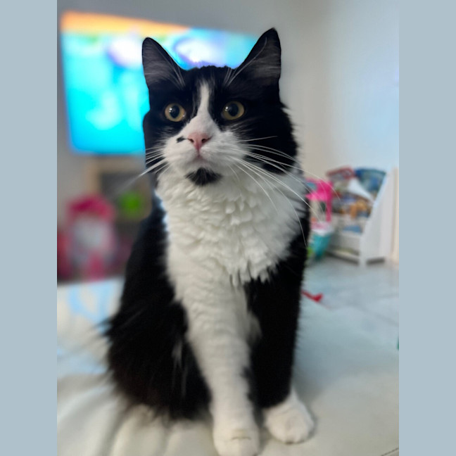 Photo of Winnie
