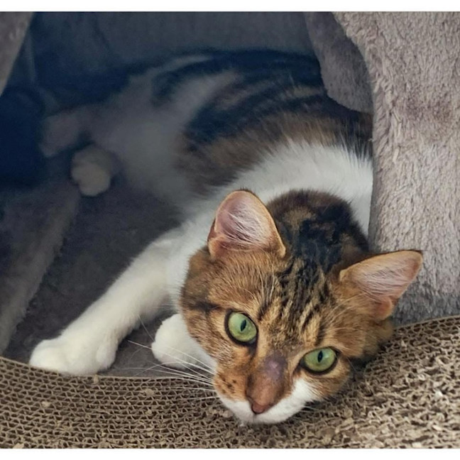 Photo of 12350   Peggy