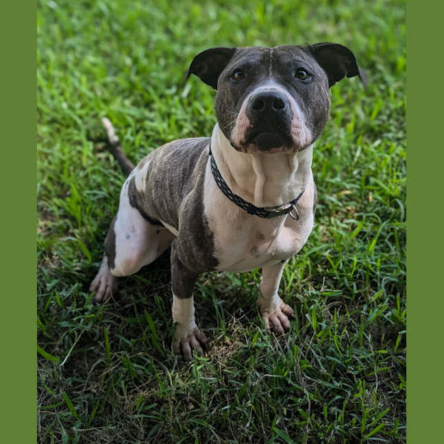 Photo of Andy