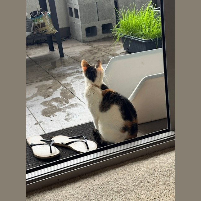Photo of Lexi