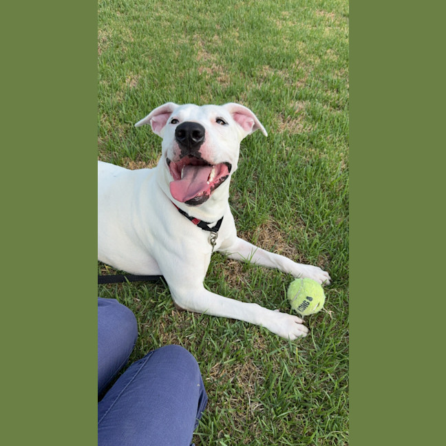 Photo of Wally