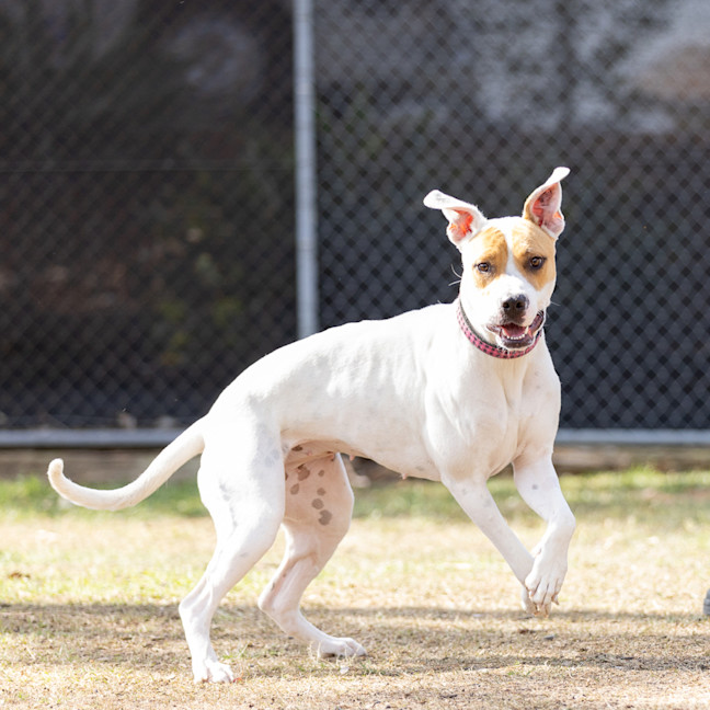 Photo of Marnie