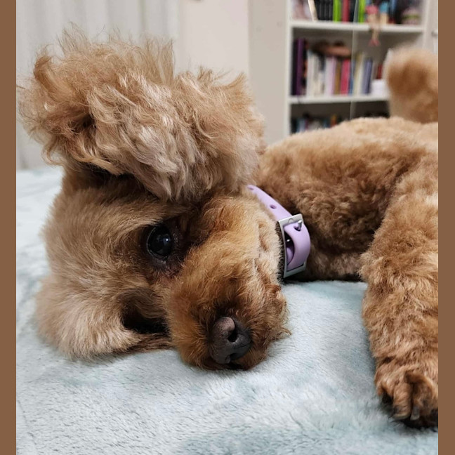 Photo of Mitzi