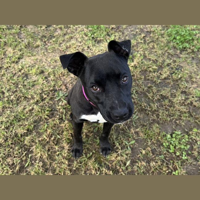 Photo of Francine Imp 1978