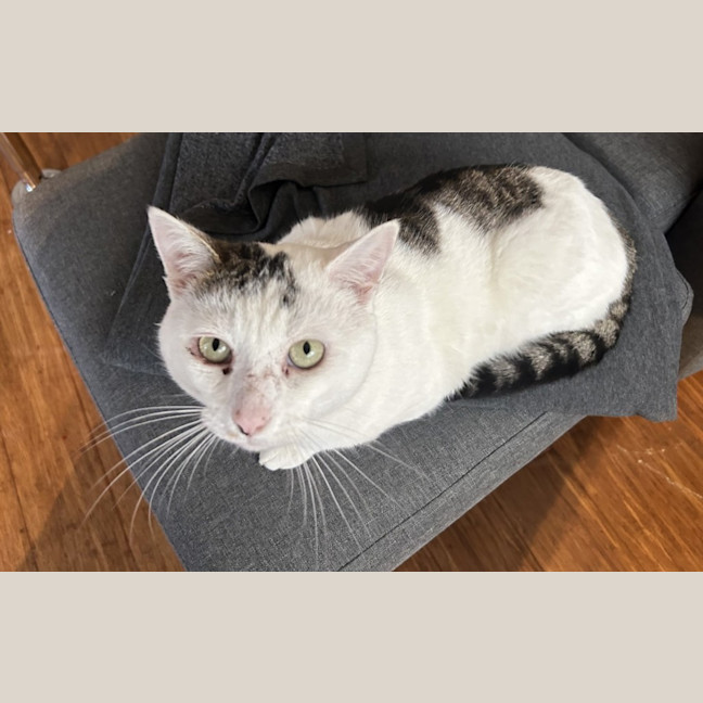Photo of Squish