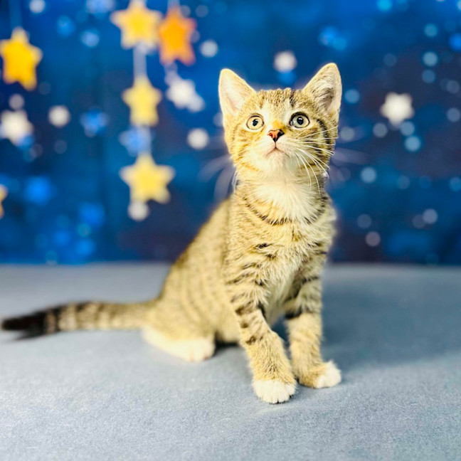 Photo of Bill   Located In Preston 