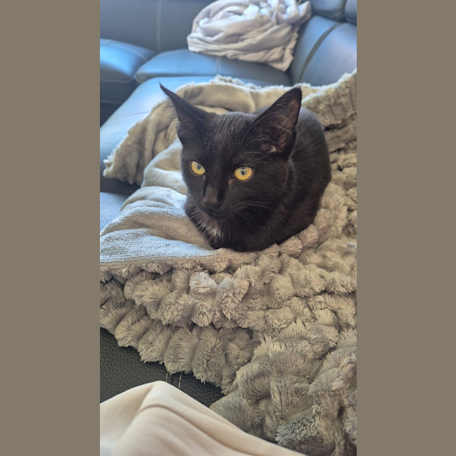 Photo of Luna U2026108