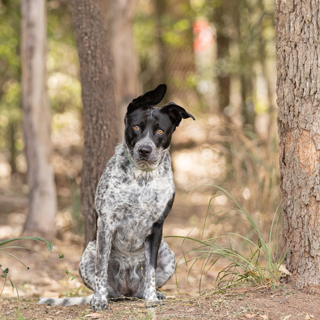 Photo of Molly