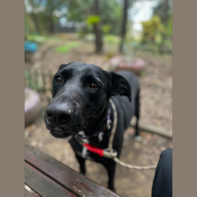 Photo of Winnie