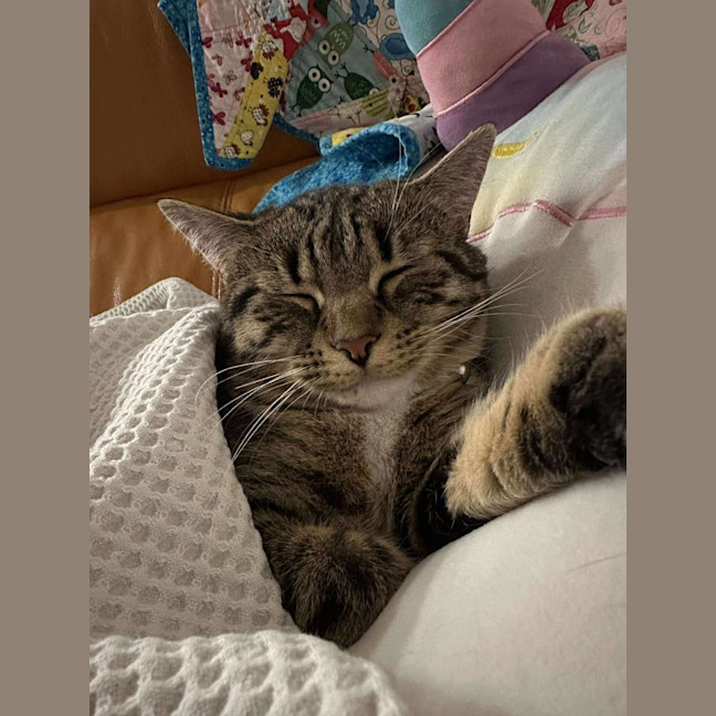 Photo of Tessa