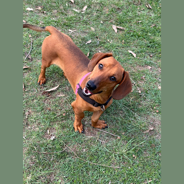 Photo of Charlie