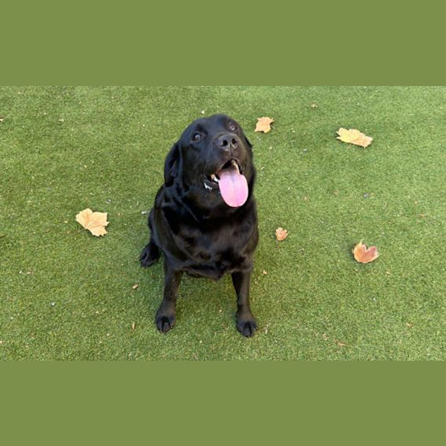 Photo of Molly