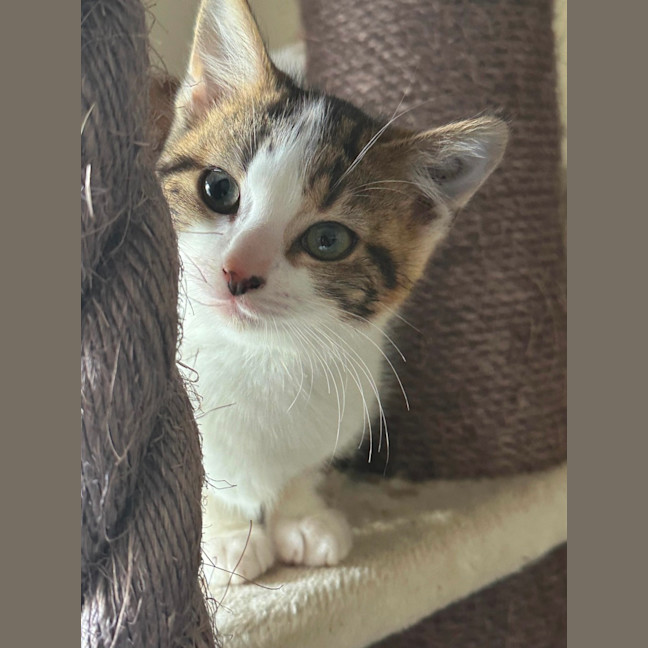 Photo of Little Leah