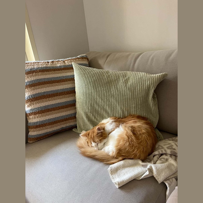 Photo of Bentley 