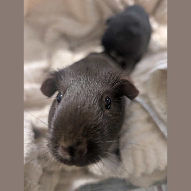 Photo of Tina 