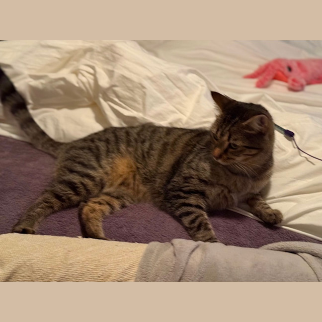 Photo of Charlie 