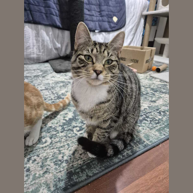 Photo of Bun Bun