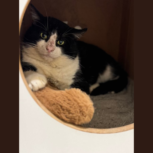 Photo of Bruce Wayne