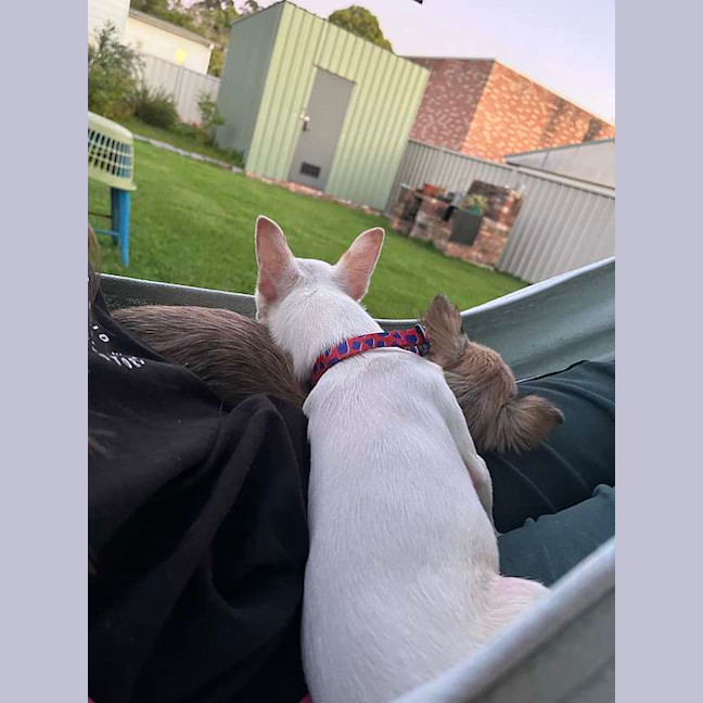 Photo of Ghost