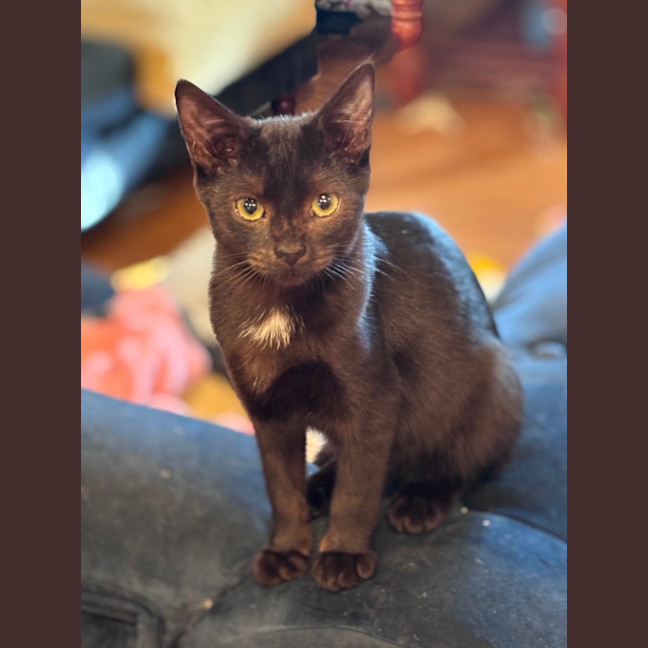 Photo of Alpha