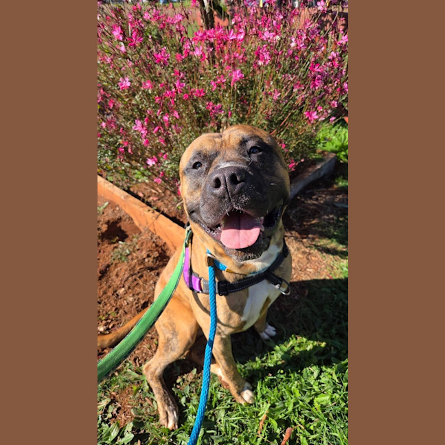 Photo of Odin