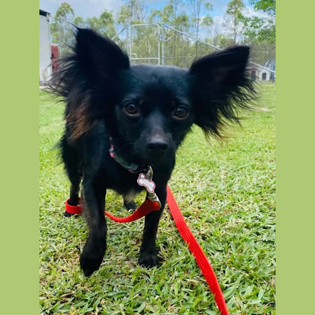 Photo of Missy