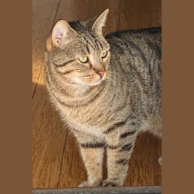Photo of Baron