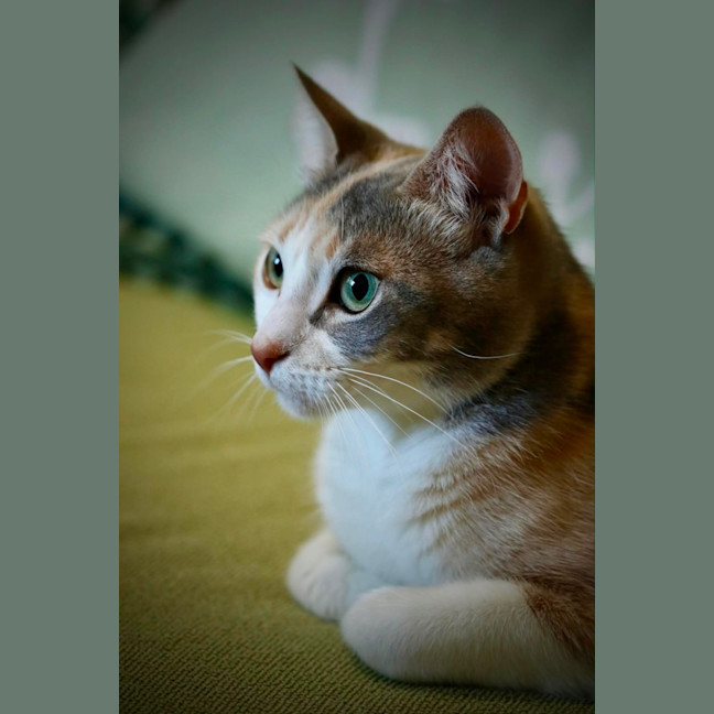 Photo of Wilma 
