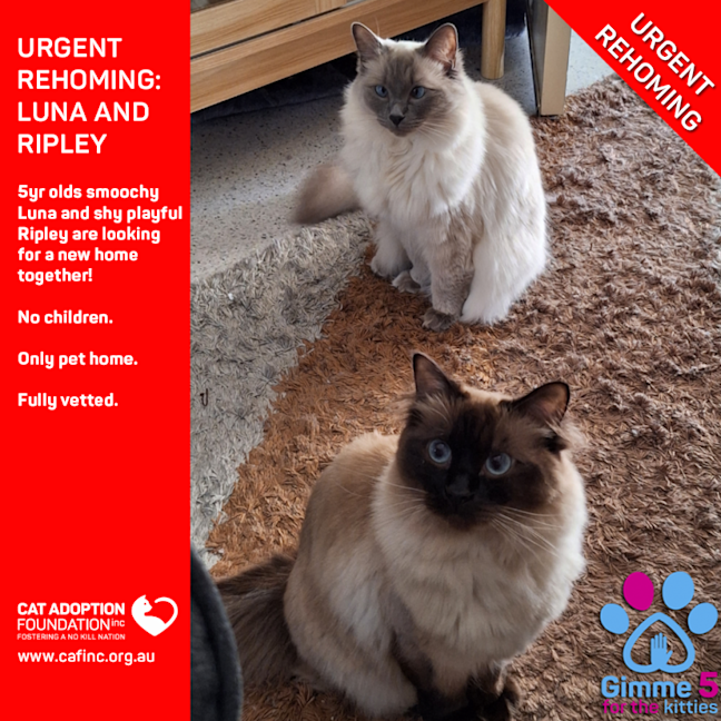 Photo of Luna And Ripley