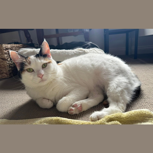Photo of Fleur