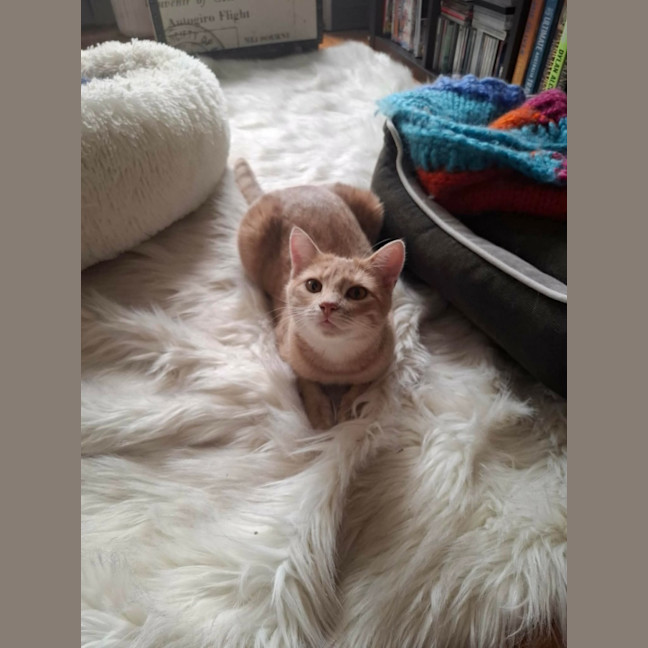 Photo of Chili 🌶️